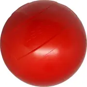 Aussie Dog Enduro Ball - Large