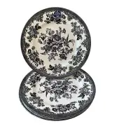 Royal Stafford Asiatic Pheasant 11in Dinner Plates Black & White Set of 4 NEW