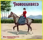 wall art prints Thoroughbred fruit crate label poster