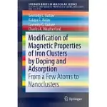THE MODIFICATION OF MAGNETIC PROPERTIES OF IRON CLUSTERS BY DOPING AND ADSORPTION: FROM A FEW ATOMS TO NANOCLUSTERS