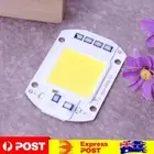 50W LEDs Floodlight Lighting COB Chips 220V Input Integrated Smart IC Drivers