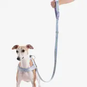 Maogou Blue Wind Zinc Dog Leash Lavender Purple