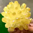 368G New Find yellow PhantomQuartz Crystal Cluster MineralSpecimen