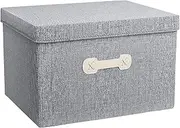Gautio Foldable Storage Bin with Lid, Collapsible Clothes Organizer Container Basket Cube with Cover, Large Storage Box with Handle for Home Bedroom Closet Office (40 * 30 * 25cm, Grey) (2 PCS)