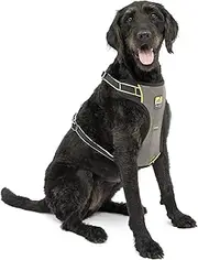 Kurgo Car Safety Dog Harness, Crash Tested Harness for Dogs, Integrated Dog seat Belt Tether Loop, Pet Vehicle Restraint seat Belt, Travel, Impact Harness for Small Medium Large Pets