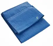 10' x 30' Blue Regular Duty Lightweight 6 mil Poly Tarp Firewood Tent Prepping