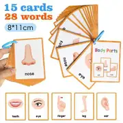 Body Part Montessori English Word Learning Flash Cards for Kids,Early Educational Flashcards,Classroom Supplies,Teaching Materials For Teachers