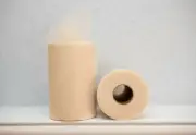 Beige Tulle Roll 6"x100 Yards Tutu Tulle Fabric Wedding Decoration