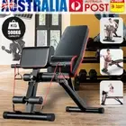 Abdominal Bench Sit-up Fitness Flat Exercise 300KG Adjustable Dumbbell Weight