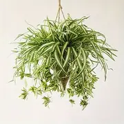 1pc 60CM Large Artificial Hanging Plants, Fake Spider Plants for Home Indoor Decor, Fake Greenery for Home Garden Office Wedding Decoration