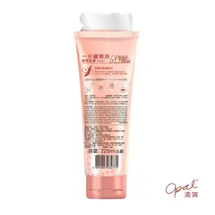 【OPAL 澳寶】一分鐘焗油-輕感柔順(225ml)(原廠授權經銷代理)