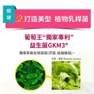 【葡萄王】認證易得纖30粒x4盒 共120粒(國家健康食品認證 不易形成體脂肪 益生菌膠囊)