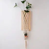 在飛比找蝦皮購物優惠-Dreamerhouse 棉繩手工編織牆面壁飾客臥室壁掛插花