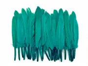 40 Feathers - Peacock Green Dyed Duck Cochettes Cosse Loose Wing Quill Costume