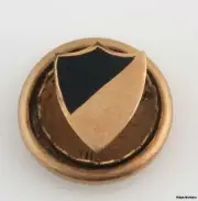 MYSTERY PLEDGE PIN - fraternity sorority Vintage Shield