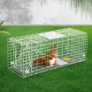 Possums Humane Animal Trap Cage – Safe for Possums, Foxes, Rabbits, and Birds