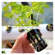 50Pcs Mesh Pot Net Cup Basket Hydroponic Garden-Plant Grow Vegetable Insert NEW