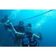 Save 10.00%! Basic Diving Tour in Rosario Islands Lunch Included