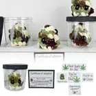 Adopt a Weed NuggetPlushie Little Weed NuggetPlushie with Encouragement Cards.Ъ