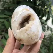 360g Natural Agate Geode Quartz Polishing Egg Skull Crystal Reiki Healing Decor