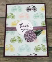 Stampin Up Card Kit THANK YOU Design A Daydream Cards Roses Makes 6 Cards +env