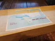 Hobby Lobbys 1/2A Shoestring Airplane