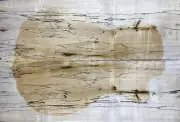8.5mm Figure Archtop Guitar Drop Top Spalted Curly Maple Wood Luthier Supply