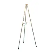 Testrite Visual Products Convention and Hotel Easels Brass Facilities Easel