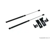 P2M for Scion TC TC 2005-09 (ANT10) Black Series Engine Hood Damper