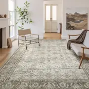 5x7 Area Rugs for Living Room, Machine Washable Non Slip Bedroom Rug,Soft