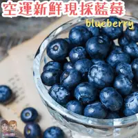 在飛比找蝦皮購物優惠-【JDFruit緁迪水果】藍莓 空運進口新鮮藍莓 一箱12小
