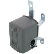 Liquid Level Switch w/ Reverse Lever, Open On Rise, NEMA 1 (460V)