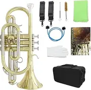 RAYWE Professional Bb Flat Cornet Brass Instrument with Carrying Case Gloves Cleaning Cloth Brushes