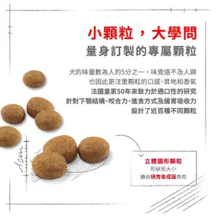 【ROYAL 法國皇家】絕育成貓專用飼料 S37 4KG(貓乾糧)