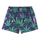 Lousy Livin Boxer Shorts Weedy Sky Blue Cannabis Hemp Grass Cheeba Dope Shit