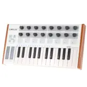 Worlde Panda midi keyboard Portable Mini 25-Key USB Keyboard and MIDI Drum Pad