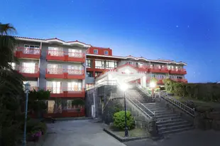 濟州杜維斯新公寓式客房酒店Jeju Tovice Condo New