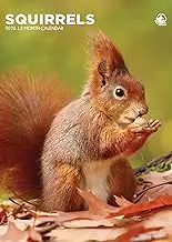 Squirrels Calendar 2026
