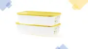 Tupperware Vent Smart Set of 2 Large High for Big Fruit & Vegetable Storage New