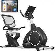 [Lifespan Fitness] RC-300 Recumbent Bike, black