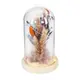 【YU Living】LED 永生花束裝飾玻璃盅 乾燥花束玻璃鐘罩 (高22cm/圖片色) [折扣碼現折]