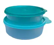 NEW Tupperware 4 piece Portioning Bowl Set Big Wonders 2 Bowls