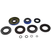 All Balls Racing TRANSAXLE Seal Kit 25-2124-5