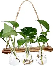 Wall Hanging Planter for Indoor Plants - Unique Propagation Stations with 3 Glass Bottles, Wall Planters for Home Decoration, Hanging Plant Holder and Hanger.