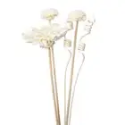5Pcs White Flower Rattan Reed Diffuser No Fire Replacement Stick Home Fragrance