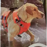 Backcountry Petco Dog Floatation Vest Size XS (9-13 lb dogs) Multiple Adjustment