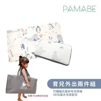 在飛比找momo購物網優惠-【PAMABE】托育必備組-4D水洗童枕+涼感重力被(防蹣抗