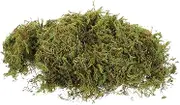 Vaguelly 1 Centerpieces Decor Sea Moss Gel Artificial Fake Moss Artificial Moss Preserved Moss Natural Moss for Terrarium Planting Moss Green Preserved Flower