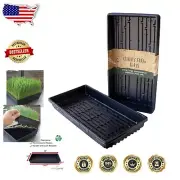 Lightweight 10-Pack Drainage Growing Trays - Perfect for Wheatgrass & Vegetables