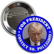 [Lunch Money] 2024 Donald Trump For President Convict Mug Shot Campaign Button Pinback Badge Pin, Aluminum, aluminium